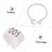100 pcs Stuff Poultry Hen Baby Leg Xxcm White Pigeons Supplies Meat Feet Cockatiel Identification 1.3X1.3CM White - Buy Online on GoSupps.com