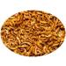 Haquoss Gammarus Natural Dried Shrimp Food for Aquatic Turtles 100 ml/11 GR - Buy Online on GoSupps.com