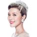 Bling Rhinestone Hair Clips Sparkly Crystal Comb Hairpins Hair Barrettes Hair Accessories for Women and Girls Style1 - Buy Online on GoSupps.com