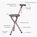 Smart Walking Stick Folding Height Adjustable Telescopic Cane Stool with Seat LED Radio and Alarm System Crutch Chargeable for Men and Women Elderly Surprise Gift - Buy Online on GoSupps.com