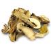 Organic Dried Porcini Mushrooms - Premium French Wild Porcini, 3oz - Buy Online on GoSupps.com