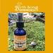 Birthing Song Botanicals Antiseptic Wound Recovery Spray - 2oz Bottle - Buy Online on GoSupps.com