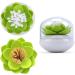 Buy Just 2 Pieces Lotus Qtip Holder - Stylish Cotton Swab & Toothpick Organizer (Green & Black) for Bathroom Decor - International Shipping Available - Buy Online on GoSupps.com