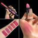 Dulele 10 Colors Matte Lipstick Set - Long Lasting Waterproof Red Lipstick Makeup Kit - Buy Online on GoSupps.com