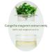 Mugwort Essence 5.64 fl oz - Premium Herbal Extract for Wellness - Buy Online on GoSupps.com