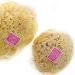 Buy Natural Mediterranean Bath Sponge | Kosmetex | 10 cm Sizes | Soft & Eco-Friendly - Buy Online on GoSupps.com