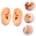 6 Pcs Healvian Ear Model Piercing Jewelry Earrings Silicone Study Ear Models - Assorted Colors - 5.66X4.88X5CM - Buy Online on GoSupps.com