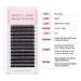 Yy Eyelash Extension D Curl 0.07 - 8mm Mixed Tray with Prefabricated Compartments | Premium Individual Lashes - Buy Online on GoSupps.com