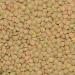 Wholefood Earth Organic Green Lentils 3kg - GMO Free, Vegan, Certified Organic - Buy Online on GoSupps.com