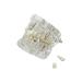 Buy Youya Transparent Dental Tooth Model for Dentists | Removable Pathological Teaching Model | International Shipping Available - Buy Online on GoSupps.com