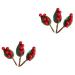 ABOOFAN 20 Pcs Christmas Decorations Christmas Tree Ornaments Berries Faux Plants Christmas Artificial Decor Christmas Tree Hanging Decor Party Decor Berry Flower Arrangement Foam Wrap