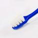 Zumaha Ultra-Like Toothbrush - 10 000 Bristles for Adults & Kids | 10 Travel Toothbrushes for Ultimate Clean | Ideal for Pregnancy - Buy Online on GoSupps.com