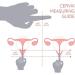 TULULU Menstrual WonderCups Variety Pack of 3 Medical Grade Silicone Discs Sustainable & Soft Menstrual Cup Alternative - Buy Online on GoSupps.com