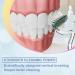 Multi-Functional S-Shaped Toothbrush for Deep Cleaning - Ultra-Clean Soft-Bristled Adult Toothbrush (2 Pink) - Comprehensive Oral Care Solution - Buy Online on GoSupps.com