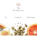Harry's Dry Skin Relief Body Lotion - Fig Scent | 10oz | Nourishing Hydration for Dry Skin | International Shipping Available - Buy Online on GoSupps.com
