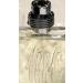 Nino Cerruti 1881 For Men. Eau De Toilette Spray 3.4 Ounces 3.4 Fl Oz (Pack of 1) - Buy Online on GoSupps.com