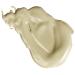 SHANY Oil Control Mattifier - Paraben & Talc Free - 0.5 oz Airless Pump - Buy Online on GoSupps.com