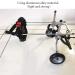 Homend Adjustable Dog Wheelchair for Disabled Hind Legs Puppy Cat/Dog/Puppy Walking Hind Legs Rehabilitation Easy Assemble Lightweight X-Small - Buy Online on GoSupps.com