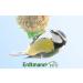 Erdtmanns 50 Fat Balls for Wild Birds - 4.25 kg Bucket - Premium Bird Feed - International Shipping Available - Buy Online on GoSupps.com
