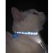 Buy Taglory Reflective Cat Collar 2-Pack - Adjustable Safety Clasp & Bell for Cats & Kittens (19-32cm) - Light Blue - Buy Online on GoSupps.com