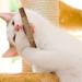 Organic Cat Mint Sticks - 6PCs Dental Chew Toys for Cats | Tooth Cleaning & Fresh Breath - Buy Online on GoSupps.com
