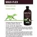HIPS & Joints Pain Relief for Pets - Natural Formula with Glucosamine with Anti-Inflammatory Extract Natural Beef Flavor - 500ml GMO Free Gluten Free Sugar Free - Made in Canada - Buy Online on GoSupps.com