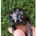 Sun Company TempaComp - Ball Compass Thermometer Carabiner | Outdoor Camping Hiking Accessory | Ultralight Navigation Orienteering Tool - Buy Online on GoSupps.com
