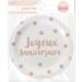UDC STC Birthday Set - Blush & Rose Gold Party Decor | International Shipping Available - Buy Online on GoSupps.com