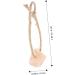 KITANDOVE 5pcs Salt for Licking Hanging Salt Licking Salt Small Pets Lick Salt Rope - Buy Online on GoSupps.com