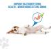 Revive Active Dental Bars for Dogs 14ct Dental Chews For Dogs Help to Remove Plaque and Tartar Build-Up Improves Oral Health and Maintaining healthy Gums and Teeth. - Buy Online on GoSupps.com