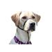 K9 Bridle - to stop your dog pulling (Medium Black) Medium Black