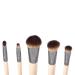 EcoTools Daily Defined Eye Brush Set - 5 Pieces & Storage Tray for Perfect Eye Makeup - Buy Online on GoSupps.com