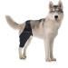 CORHAD Pet Injury Knee Puppy Brace Elbow and Knee Pads Dog Knee Cover Butter Care L As Shown - Buy Online on GoSupps.com