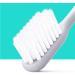 Zumaha Loose Toothbrush Set | Small Head Design for Adults & Pregnant Women | 12-Pack Manual Travel Toothbrushes for Clean Teeth - Buy Online on GoSupps.com