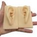 Human Ear Model Flexible Soft Silicone Imitation Real Ear Teaching Model -1 Pair Ear Mold Artificial Display Sample Educational Resources in Scienc