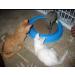 AUOON Cat Scratcher Toy - Interactive Scratch Pad with Ball for Training and Play - Blue - Buy Online on GoSupps.com