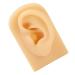 Silicone Ear Model for Suturing Practice - Reusable Soft & Flexible (Left) | Shop Internationally - Buy Online on GoSupps.com