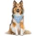 Light Blue Dog Bandana - 'I Thought I Was the Baby' Triangle Scarf for Small to Large Dogs - Perfect Pregnancy Announcement Accessory - Buy Online on GoSupps.com