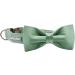 Shop Lionet Paw's Comfortable Silk Green Dog Collar with Removable Fly - XS for Puppies & Cats (20-30cm) - Ideal for International Shipping - Buy Online on GoSupps.com