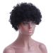 Buy SHIYID Short Afro Wig - Synthetic Black Curly Wig for Black Women | Heat Resistant Fiber | International Shipping - Buy Online on GoSupps.com