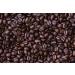 Kenyan Blue Mountain Coffee Beans 250g Small Batch Roasted in Wales Uk - Buy Online on GoSupps.com