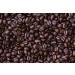 Costa Rica Medium to Dark Roast Coffee Beans 250g Small Batch Roasted in Wales Uk
