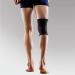 LP Support Extra Large Knee Support - Premium Comfort & Stability for Active Lifestyle - Buy Online on GoSupps.com