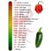Semillas Pimiento Picante Habanero Chocolate Rocalba - Buy Online on GoSupps.com