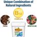 Bute-Less Comfort & Recovery Supplement Pellets | 80 Day Supply for Horses - Buy Online on GoSupps.com