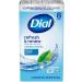 Dial Antibacterial Bar Soap - Refresh & Renew Spring Water 4 oz (Pack of 8) - Effective Germ Protection | International Shipping Available - Buy Online on GoSupps.com