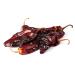 Dried Chile Peppers Variety Pack - 15 oz Total Ancho, Guajillo, Pasilla Chiles for Authentic Mexican Recipes - Mole, Salsa, Sauces, Stews, Tamales - By Amazing Chiles and Spices - Buy Online on GoSupps.com