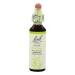 Bach Original Flower Remedies Olive - Restore Energy - Natural Homeopathic Flower Essence for Emotional Balance - Vegan Gluten Free Sugar Free - 20mL Dropper