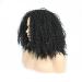 Bestland Afro Wig | Long Wavy Curly Synthetic Hair for Black Women | Heat Resistant Fiber Wigs - Buy Online on GoSupps.com