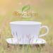 Revolution Tea Pear White Tea 16 Bags Full Leaf Mesh Infuser - 16 Count Pack - Buy Online on GoSupps.com
